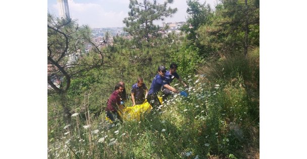 Ormanlık alanda çocuk cesedi bulundu