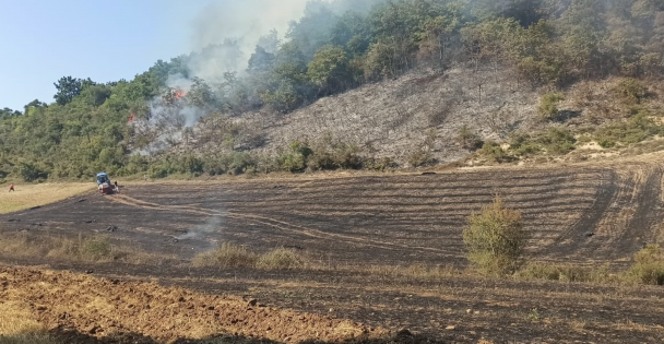 Ormanlık Alanda Yangına Neden Olan Kişi Hakkında Adli İşlem Yapıldı