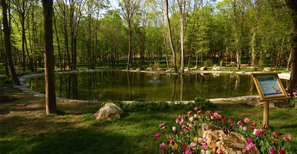 Ormanya, BKM'nin filmine ev sahipliği yapacak