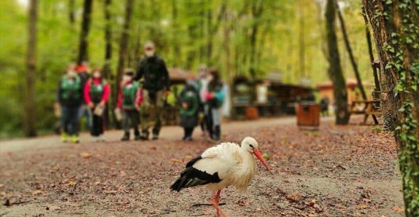 Ormanya, Cumartesi Günleri Açık
