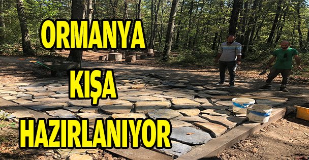 ORMANYA KIŞA HAZIRLANIYOR