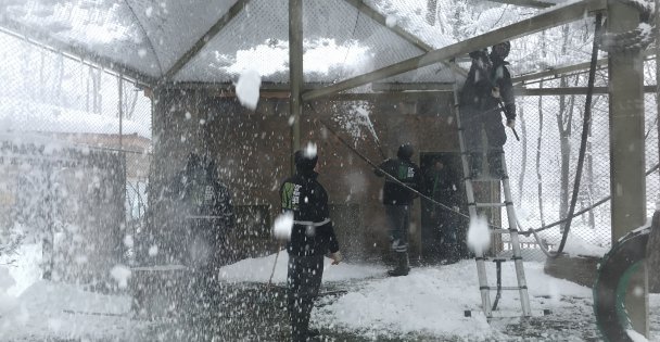 Ormanya'da kar ziyaretçiler için 