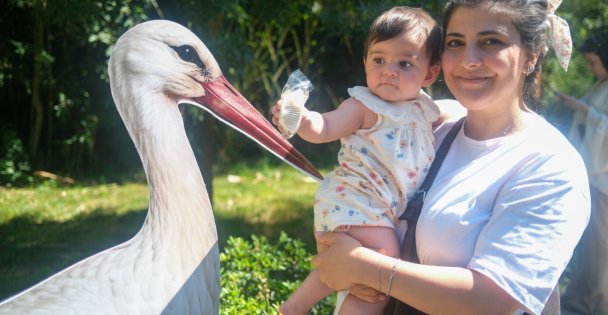 Ormanyada yavru leylek Atlasa sürpriz kutlama