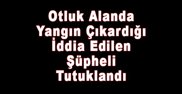 Otluk Alanda Yangın Çıkardığı İddia Edilen Şüpheli Tutuklandı