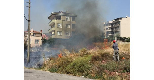 Otluk alanda yangın!