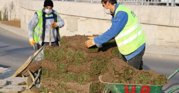 Otogar Köprülü Kavşağı'na Yüzlerce Ağaç Dikilecek