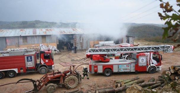 Palet fabrikasında çıkan yangın söndürüldü