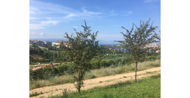 Parklar Kültürel Tanıtım Merkezi Olmalı