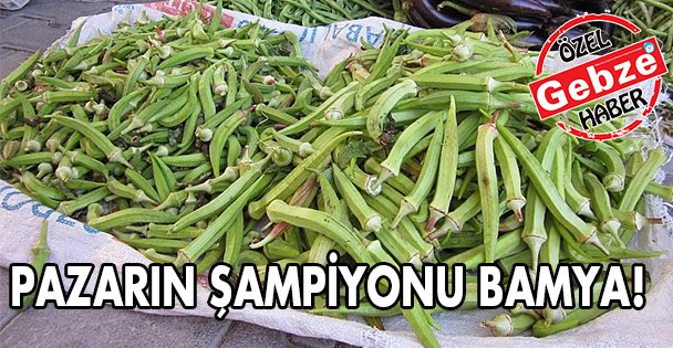 Pazarın şampiyonu Bamya!