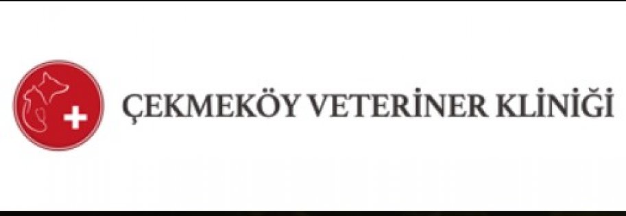 Pendik Veteriner Hizmetleri
