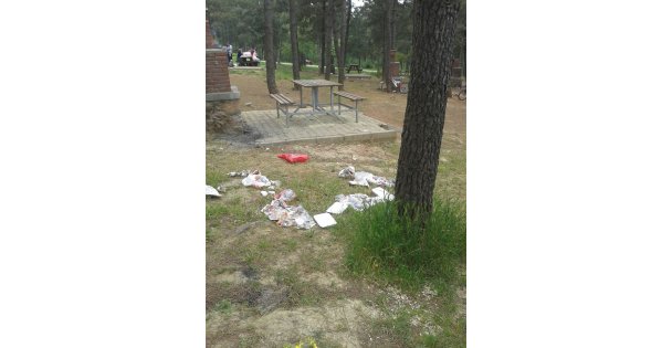 Piknik alanları çöpten geçilmiyor