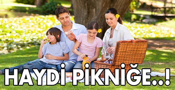 Piknik yapalım!