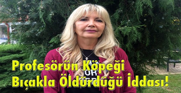Profesörün Köpeği Bıçakla Öldürdüğü İddası!