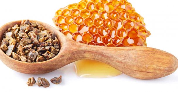 Propolis Nedir?