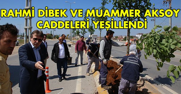 Rahmi Dibek ve Muammer  Aksoy Caddeleri Yeşillendi