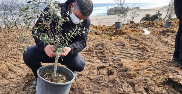 Rusya'dan sürgün edilen Çerkes ve Abhazlar anısına Kocaeli'de 300 zeytin fidanı dikildi