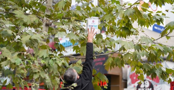 Sadece bu kentin ağaçları kitap açar