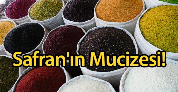 Safran'ın Mucizesi!