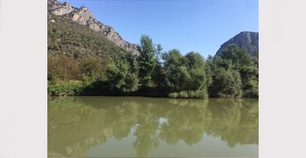 Sakarya Nehrimiz Yok Oluyor