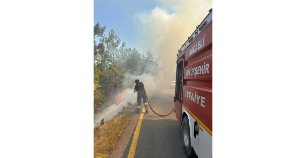 Sakarya'daki Yangına Kocaeliden Destek Ekipleri