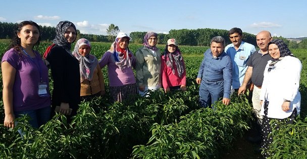 Sanayi Kentinden Yerli Tohuma Destek