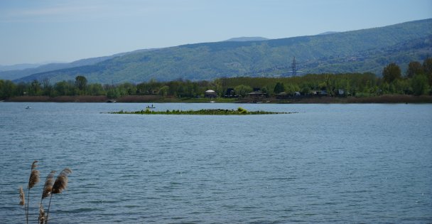 Sapanca Gölü çekildi: Gizemli ada yeniden ortaya çıktı