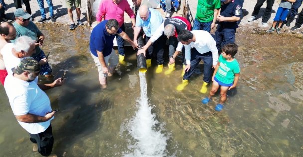 Sapanca Gölü'ne 100 bin balık salındı