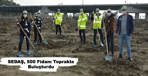SEDAŞ, 500 Fidanı Toprakla Buluşturdu