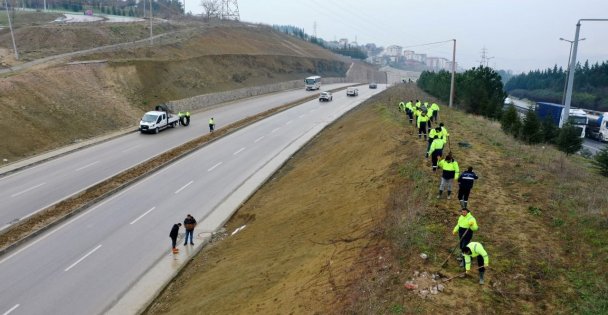 Şehir Hastanesi Yolunda Çevre Düzenlemesi