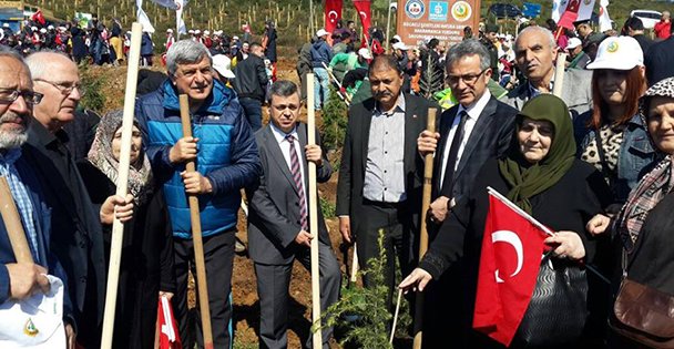 Şehitler fidanlarda yaşayacak!