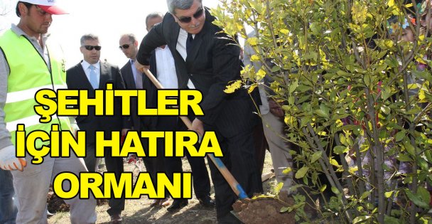 Şehitler için hatıra ormanı