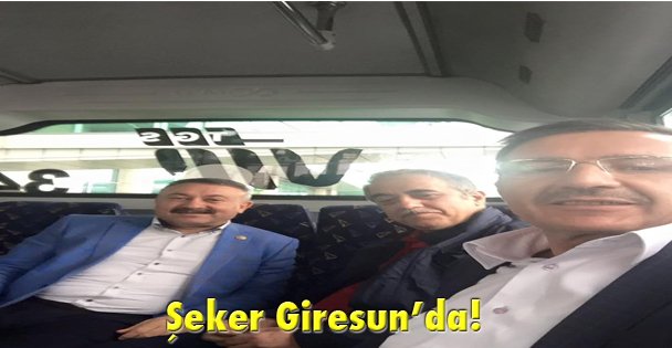 Şeker Giresun'da!