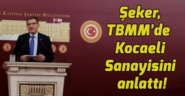 Şeker, TBMM'de  Kocaeli Sanayisini anlattı!