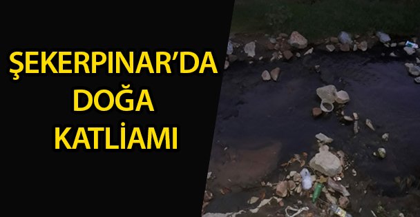 Şekerpınar'da Çevre Katliamı