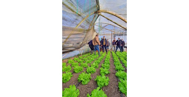 Sera Desteği İçin Başvurular Başladı