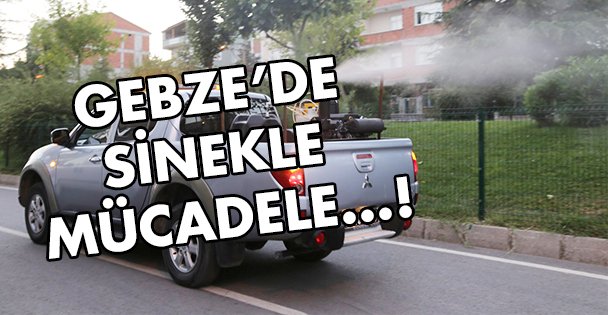 Sineklerle yoğun mücadele!