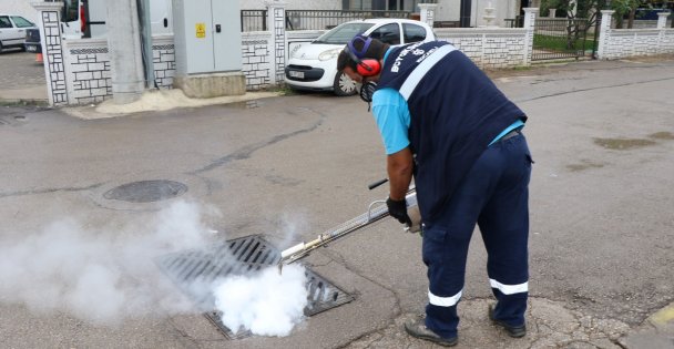 Sivrisinekle kışlak mücadele başladı