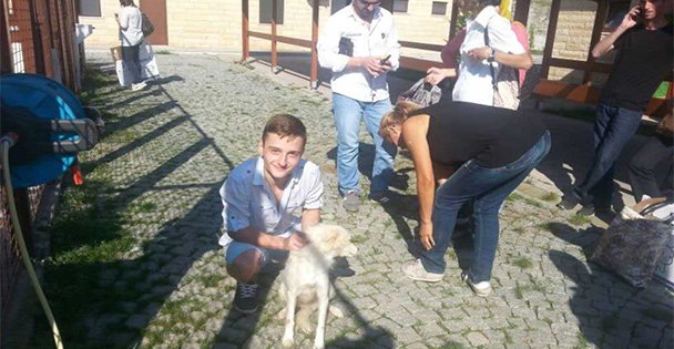 Sokak hayvanları yalnız kalmıyor