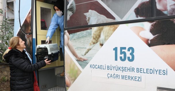 Sokak hayvanlarına 7/24 hizmet Büyükşehirden
