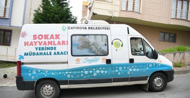 Sokak hayvanlarına yerinde müdahale