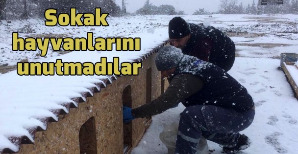 Sokak hayvanlarını unutmadılar