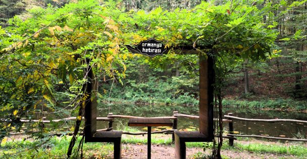 Sonbahar, huzurun adresi Ormanya'da bir başka