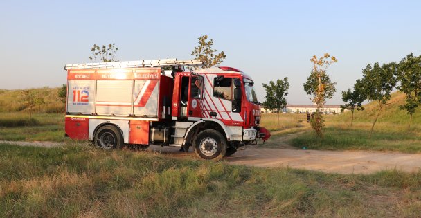 Sulak Alandaki 10 Dönüm Sazlık Yandı
