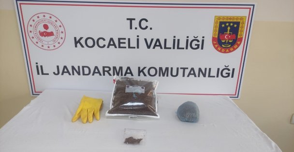 Şüphelinin Evinde Yapılan Operasyonda Bonzai Ele Geçirildi