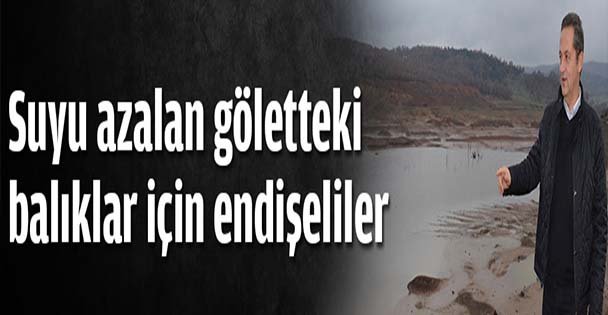 Göletteki balıklar için endişeliler