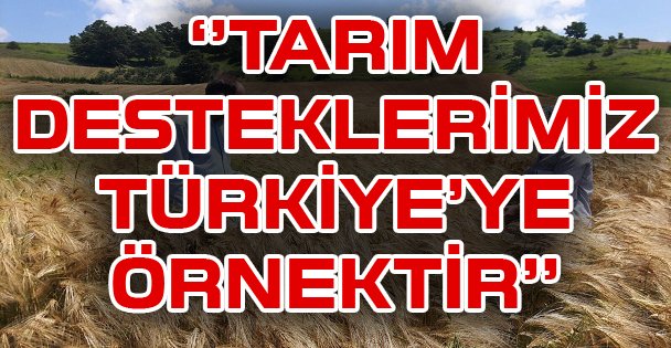 ‘'Tarım Desteklerimiz Türkiye'ye Örnektir''