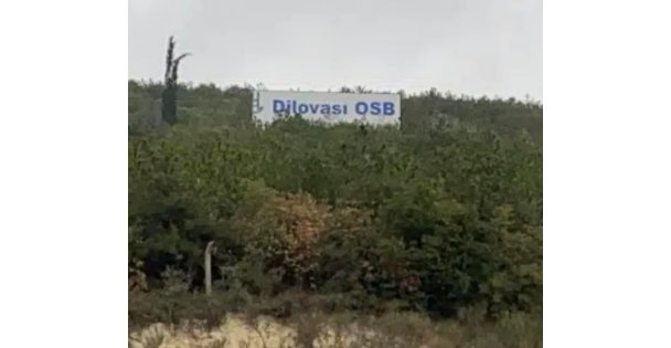Tarım Orman Bakanı Sn Bekir Pakdemirli ye açık mektup