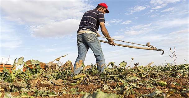 Tarımsal destekleme ödemeleri bugün başlıyor