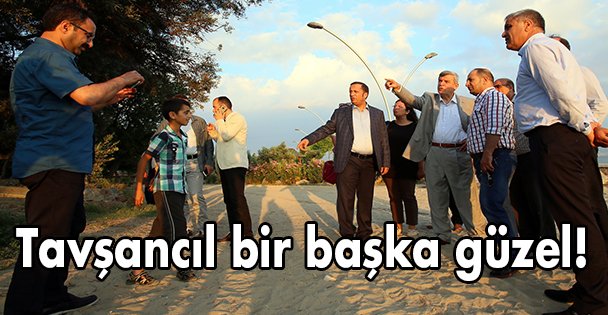 Tavşancıl bir başka güzel!