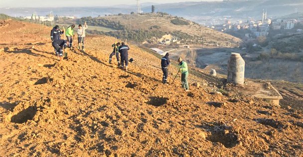 Tavşanlı Polyak dolgu alanına 8 bin 700 fidan